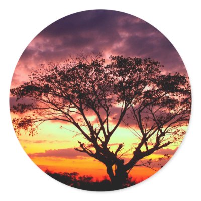 beautiful sky  and  cloud sticker by naturelife