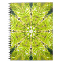 Beautiful Slime Feb 2013 Notebook