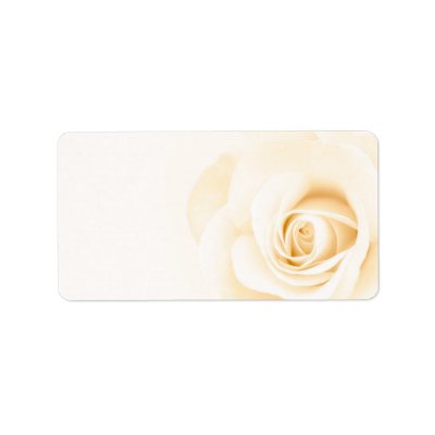 Beautiful soft cream colored rose flower floral custom address labels