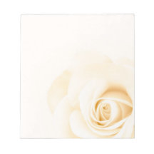 Beautiful soft cream colored rose flower floral memo note pads
