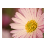 Beautiful soft flower print