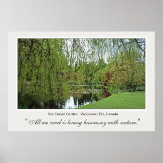 Beautiful soft, green spring willow tree and pond. print