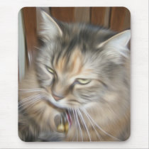 Beautiful soft pain maine coon cat mouspad mousepads