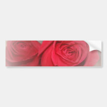 Beautiful Soft Red Roses Bumper Stickers