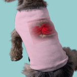 Beautiful Soft Red Roses pet clothing