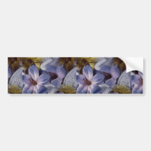 Beautiful Soft violet flower Bumper Sticker