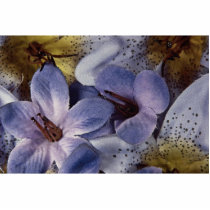 Beautiful Soft violet flower Photo Sculptures