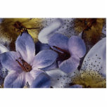 Beautiful Soft violet flower Photo Sculptures