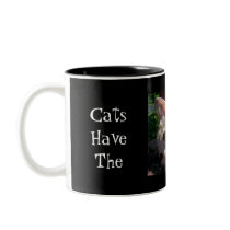 Beautiful Soul Mug