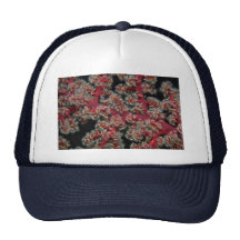 Beautiful Species of soft coral from the deep wate Hat