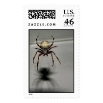 Beautiful spider stamp