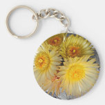 Beautiful Spineless Star Cactus Blooms Key Chain