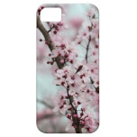Beautiful Spring Cherry Blossom iPhone 5 Case
