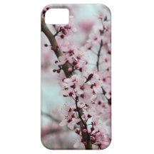 Beautiful Spring Cherry Blossom iPhone 5 Case