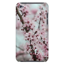 Beautiful Spring Cherry Blossom iPod Touch Case