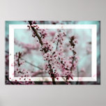 Beautiful Spring Cherry Blossom Print