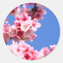 Beautiful Spring Cherry Blossom Round Stickers