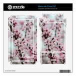 Beautiful Spring Cherry Blossom Motorola Droid X2 Skins