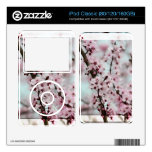 Beautiful Spring Cherry Blossom Skins For The iPod