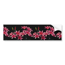 Beautiful Spring lilies (Crete) Bumper Stickers