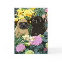 Beautiful Spring Puggies Greeting Card