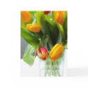 Beautiful, spring tulips in a glass vase, greeting cards