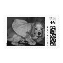 beautiful stamps