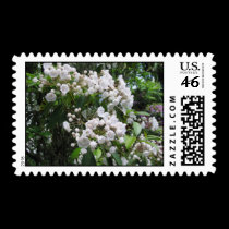 beautiful star postage