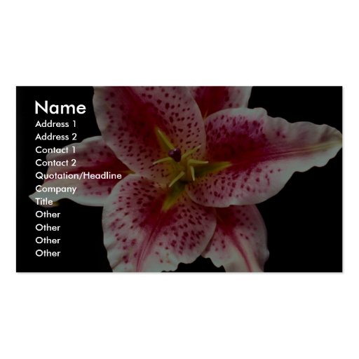 Beautiful Stargazer lily Business Card (front side)