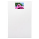 Beautiful summer flowers photo pink purple phlox custom stationery