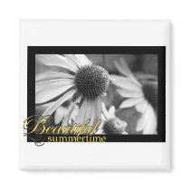 Beautiful summer magnets