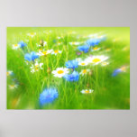 Beautiful summer meadow posters