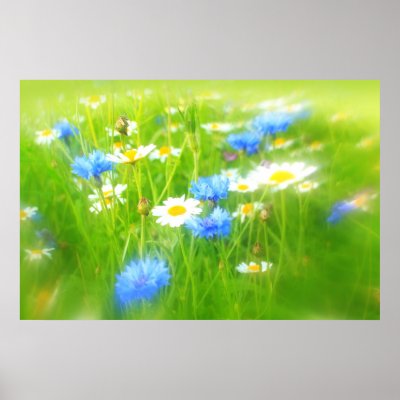 Beautiful summer meadow posters by AmazingPosterPrints