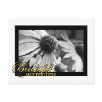 Beautiful summer postcards by pchanger Beautiful summer postcards