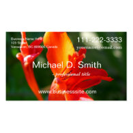 beautiful summer red flowers professional profile business card template