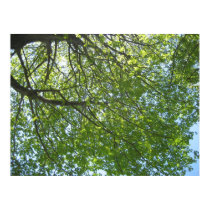 Beautiful Summers Day posters by daydreambeliever_585 Beautiful Summers Day posters