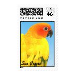 Beautiful Sun Conure Stamp