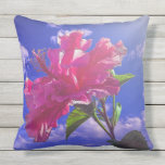 Beautiful sun drenched flower, pillow