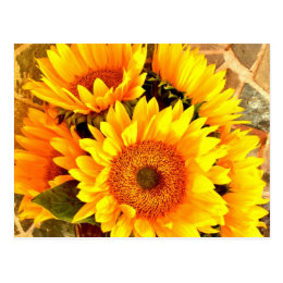 Beautiful Sunflower Bouquet Gifts Postcard