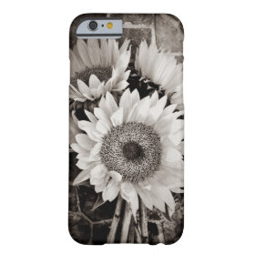 Beautiful Sunflower Bouquet Photo in Black & White iPhone 6 Case