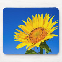Beautiful Sunflower mousepads
