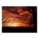 Beautiful Sunrise Scenery Poster posters