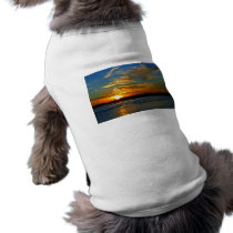 Beautiful Sunset pet clothing by creative_eye Beautiful Sunset pet clothing
