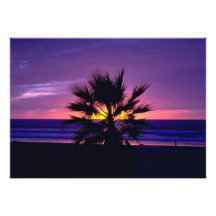 Beautiful Sunset: Mission Beach, California Invitation