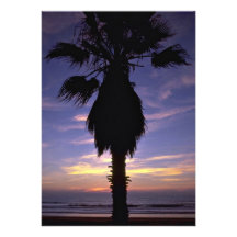 Beautiful Sunset: Pacific Beach, California Invite