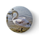 Beautiful Swan Bird buttons