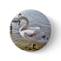 Beautiful Swan Bird buttons