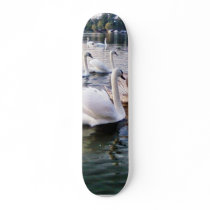 Beautiful Swans In River Skate Board