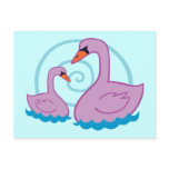 Beautiful Swans Post Card