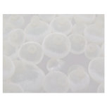 Beautiful Swollen tentacle tips of a sea anemone Letterhead Design